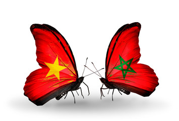Two butterflies with flags Vietnam and Morocco