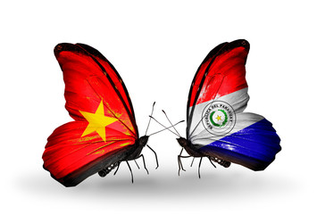 Two butterflies with flags Vietnam and Paraguay