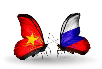 Two butterflies with flags Vietnam and Russia