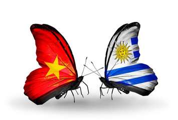 Two butterflies with flags Vietnam and Uruguay