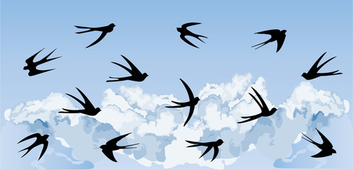 Swallows in the cloudy sky