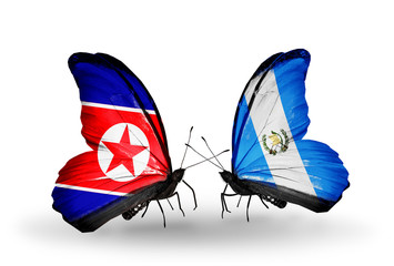 Two butterflies with flags North Korea and Guatemala