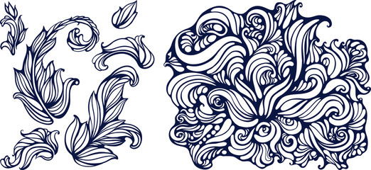 isolated objects of leaves