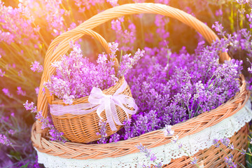 Fototapeta na wymiar Basket with lavender flowers