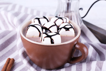 Cup of cocoa with marshmallows