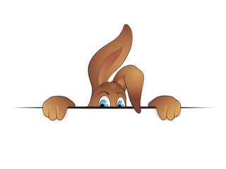 Fototapeta premium Osterhase