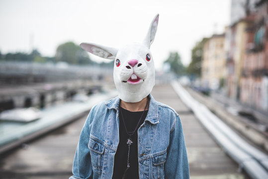 rabbit mask young handsome bearded hipster man