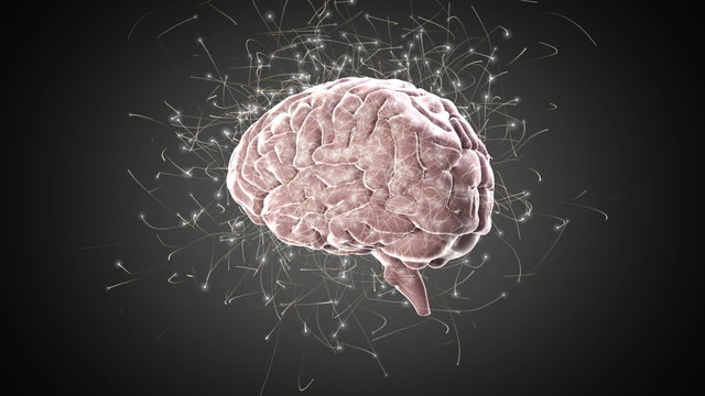 Brain spinning on black background