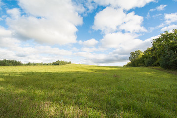 Green Field Puffy Clouds