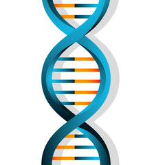 DNA design, vector illustration.