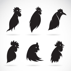 Vector image of an chicken head on white background