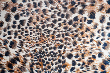 pattern abstract background of canvas