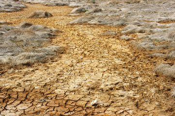  drought land, climate change, hot summer