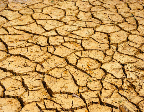  drought land, climate change, hot summer