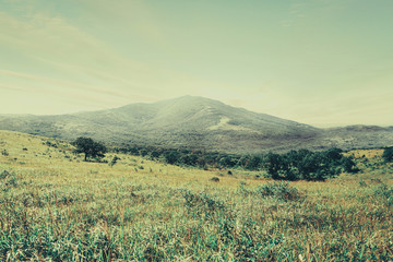 Fototapeta premium Mountain landscape