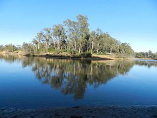 Murray River Reflection