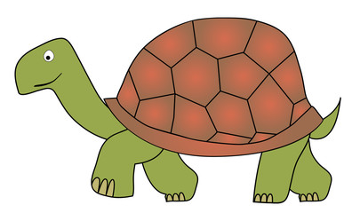 tortoise