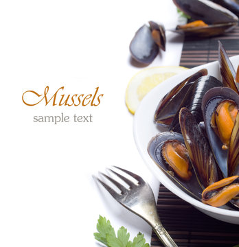 Fresh mussels