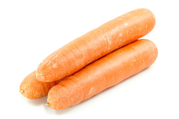 carrot