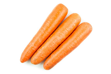 carrot