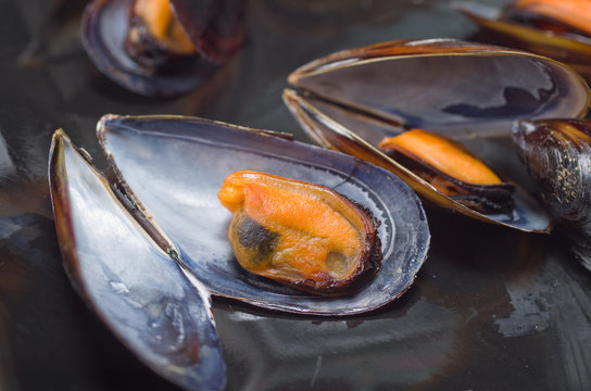 Cooked mussels