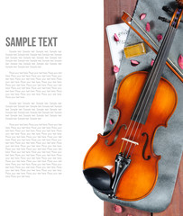 Plakat Violin
