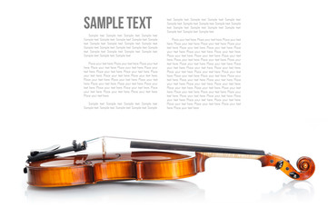 Violin