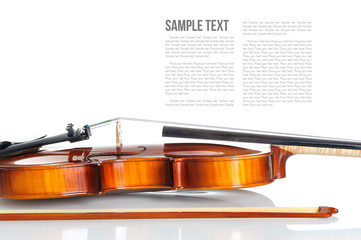 Violin