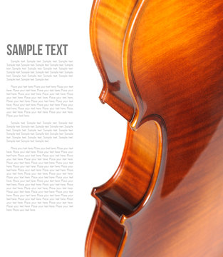 Violin