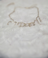 Necklace on a neck at the bride