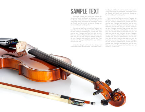 Violin