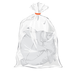 Cabbage. Hand drawing design elements