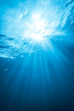 Real Ray of light from Underwater