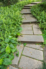 stone steps to the top