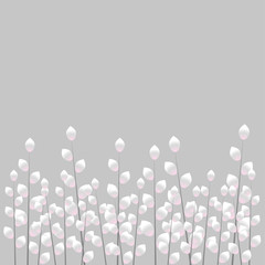 Gray pussy-willow background