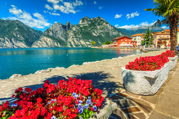 Red flowers and promenade,Lake Garda,Northern Italy,Europe - obrazy, fototapety, plakaty