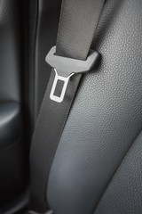 seat belt