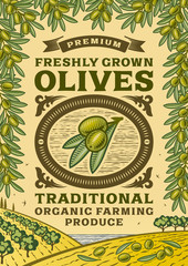 Retro olives poster