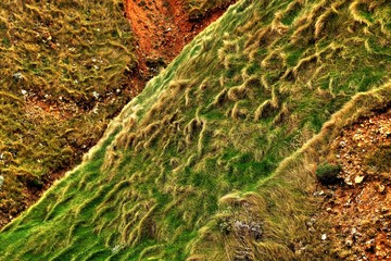 Herbes balayées par les vents sur les falaises d'Etretat en HDR