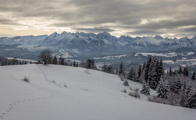 Fototapeta na wymiar Panoramic views of the Tatra Mountains covered by fresh snow