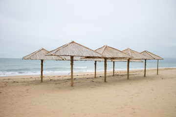 Umbrellas on the beach