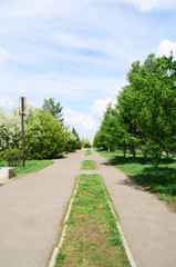 Spring landscape,  city boulevard, Omsk, Russia.