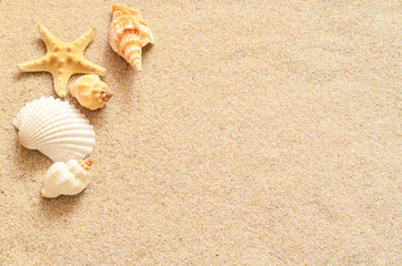 Naklejka na ściany i meble Seashells on sand