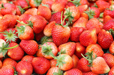 Fresh organic strawberry fruit