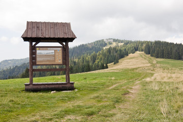 Road to the top of the Turbacz Mountain, Poland