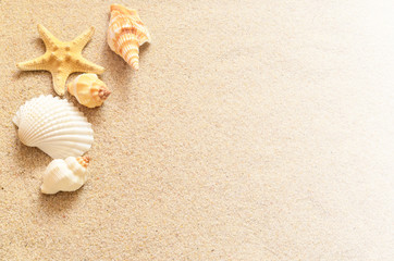 Fototapeta na wymiar Seashells and sand