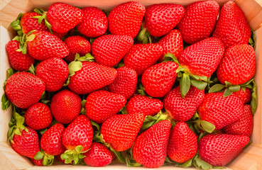 Closeup of strawberries box view from above