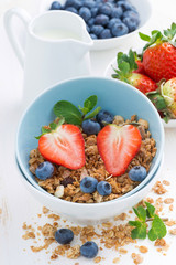 healthy food - granola, fresh berries and jug of milk, close-up