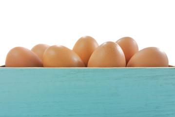 egg in blue wood box