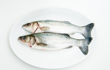 Couple of fresh raw seabass fish on white plate